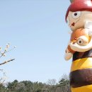 꿀벌체험장 이미지