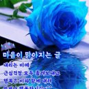 주)밝은마음 이미지