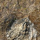 스트로마톨라이트 이미지