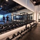 피트니스247 이미지