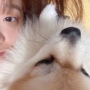 [6월 일상-2✨] 데이트/공주데이트/청주데이트/맛집/카페