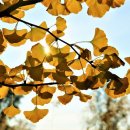 (주)해피나무 이미지