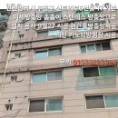 신트리로 이미지