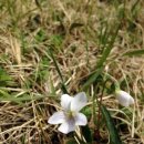 크린 스마트 이미지