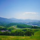 서울정석정형외과의원 이미지