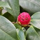 림스소아청소년과의원 이미지