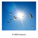 트리플윈 이미지
