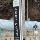 봉진농장 | 비 온 뒤 더 특별했던 성주 우봉진 버섯세상 견학｜노루궁뎅이버섯·목이버섯 체험 후기