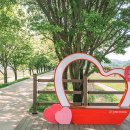 미르카센타 이미지