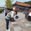 리코여행사
