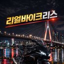 돈리스