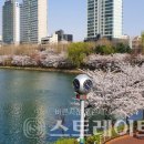 송파대로 이미지