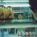 서울 레코드샵 투어 2탄; 도프레코드, 김밥레코즈, 피터판 +팝시페텔