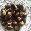 군밤이네 이미지