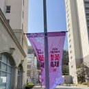 파크사랑 | [강원 홍천] 꽃구경 벚꽃 축제 봄봄 "소노벨 비발디파크"