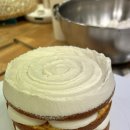 댄싱도그 이미지