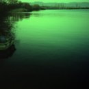 숲(Forest) 이미지