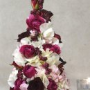 피다(Pida) 이미지