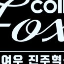 코인여우노래타운낮부터