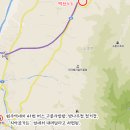 송호수 카카오 검색결과