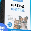 글로벌포유 이미지
