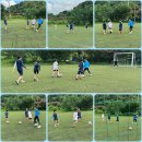 신주례태권도스쿨3 이미지