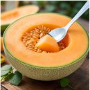 멜론 티스토리