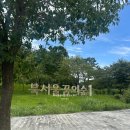 북서울꿈의숲 | 북서울꿈의숲 아이시스 핑크닉 후기
