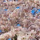 낙동강변12 이미지