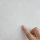 크리닝아트 이미지