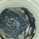 거성에이플(금정동) 이미지