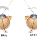 루카루카 에코시티점 네이버블로그