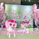 울산문화예술회관 화장실 | 💞울산 사랑의하츄핑 뮤지컬 관람후기(+울산문화예술회관 좌석 팁/주차정보)