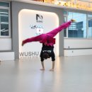 국가대표 우슈도장 이미지