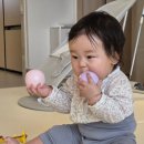 팀미음 | 221~228일 주간 육아일기(배밀이훈련, 단호박미음, 카페)