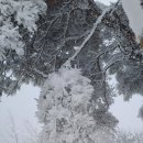 예산-02 이미지