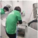 풀잎시스템 이미지