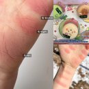 리릭스 | 올리브영 망그러진곰 퓌푸딩팟 퓌 버터 바닐라 위드아웃 비교