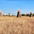 소래습지생태공원 이미지