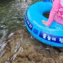 별보는 산속가든 네이버블로그