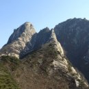 정기코스 이미지