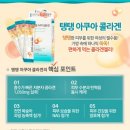 주식회사 황금레몬