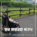 화랑스포츠 | 주말 아기랑 판교 화랑공원 주차 피크닉 성남갈만한곳 봄나들이