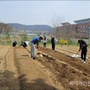 영종농장 이미지