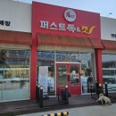 퍼스트 독앤캣 이미지