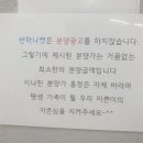 파주고양이미용 반하나캣 이미지