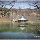 웰빙시골밥상 이미지