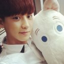 인형과 함께 이미지