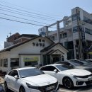싱글벙글서 | 김천 시청 맛집 싱글벙글복어 신음동 후기