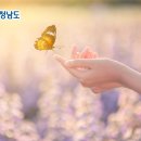 서해미술관 이미지